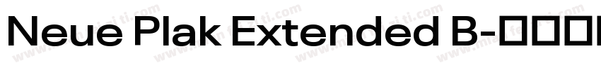 Neue Plak Extended B字体转换
